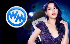 wm-2-300x190-1